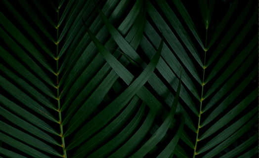 inner_01_02 https://globalcity.sexyland.vn/wp-content/uploads/2020/03/inner_01_02.png